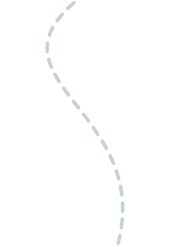 Dashed Line (Green)